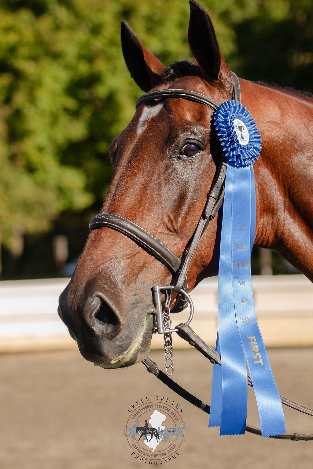 Blue ribbon winner