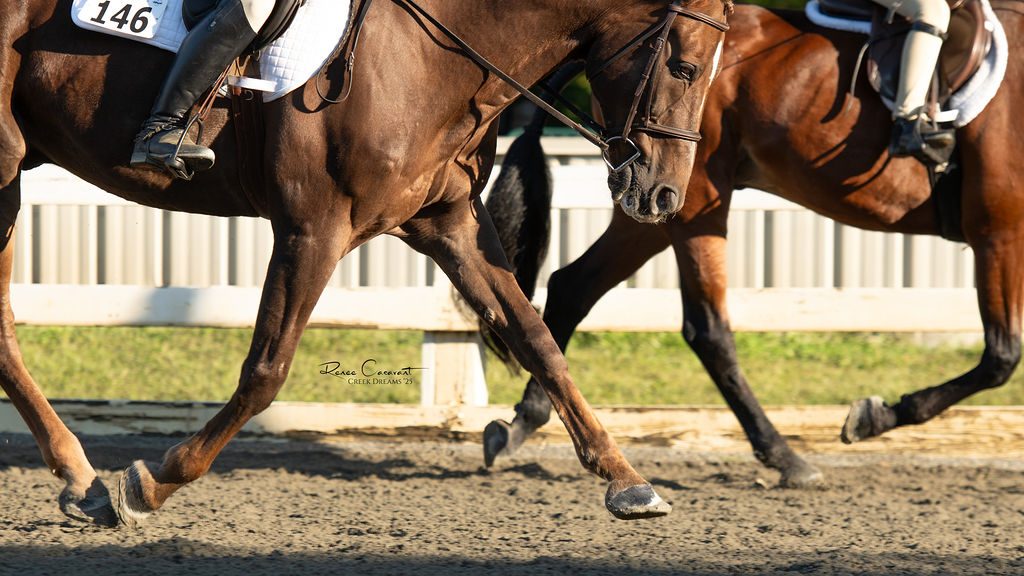 Barrel racing in the indoor arena
