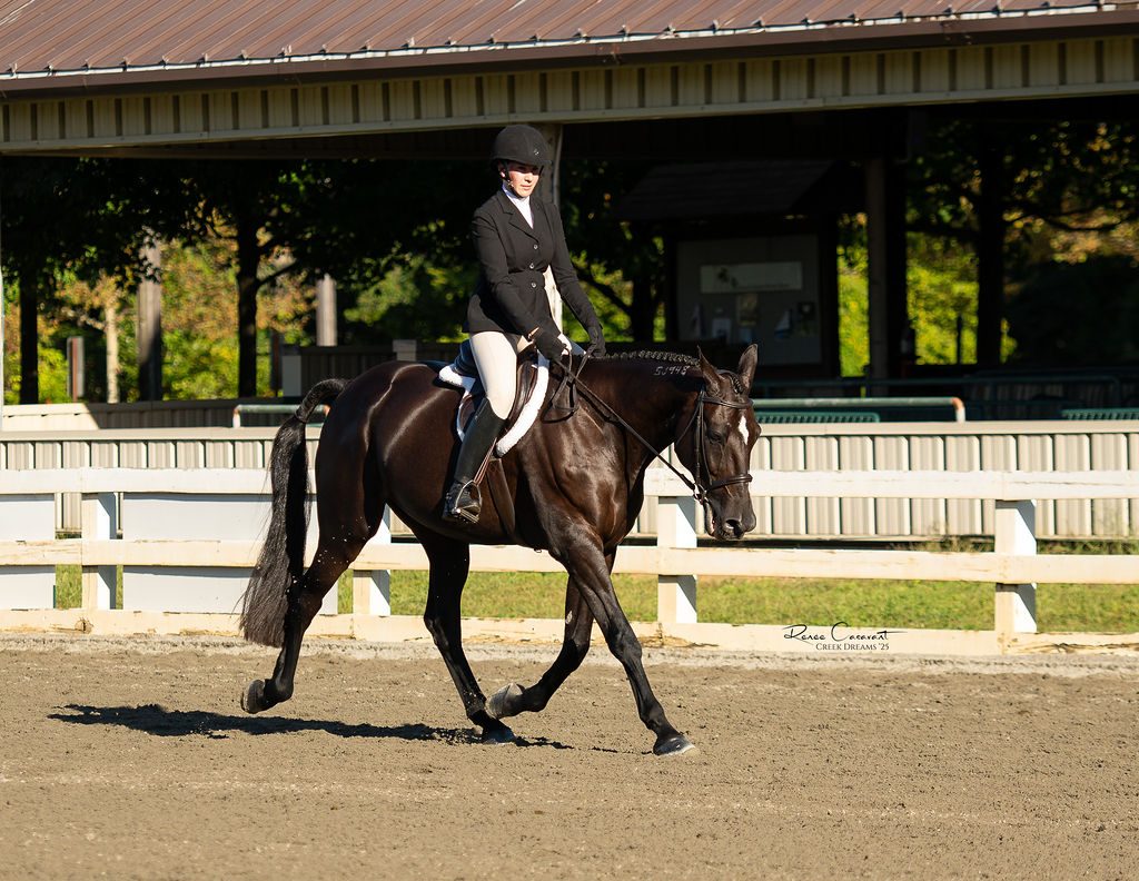 Dressage