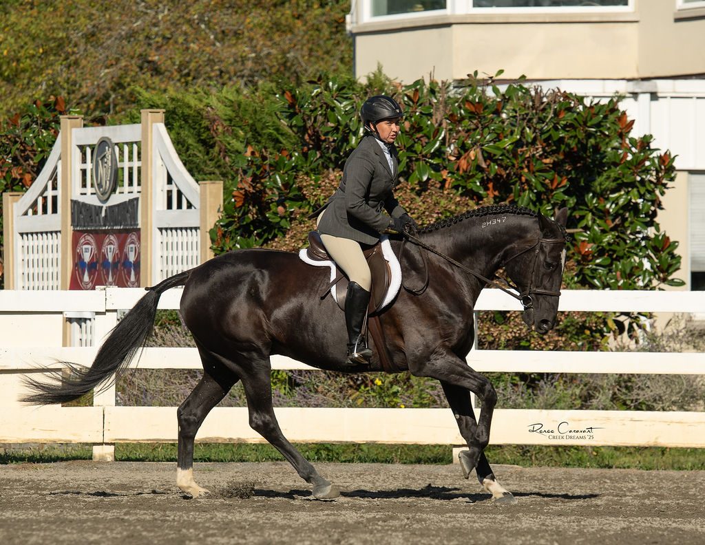 2025 New Jersey Bred Champion