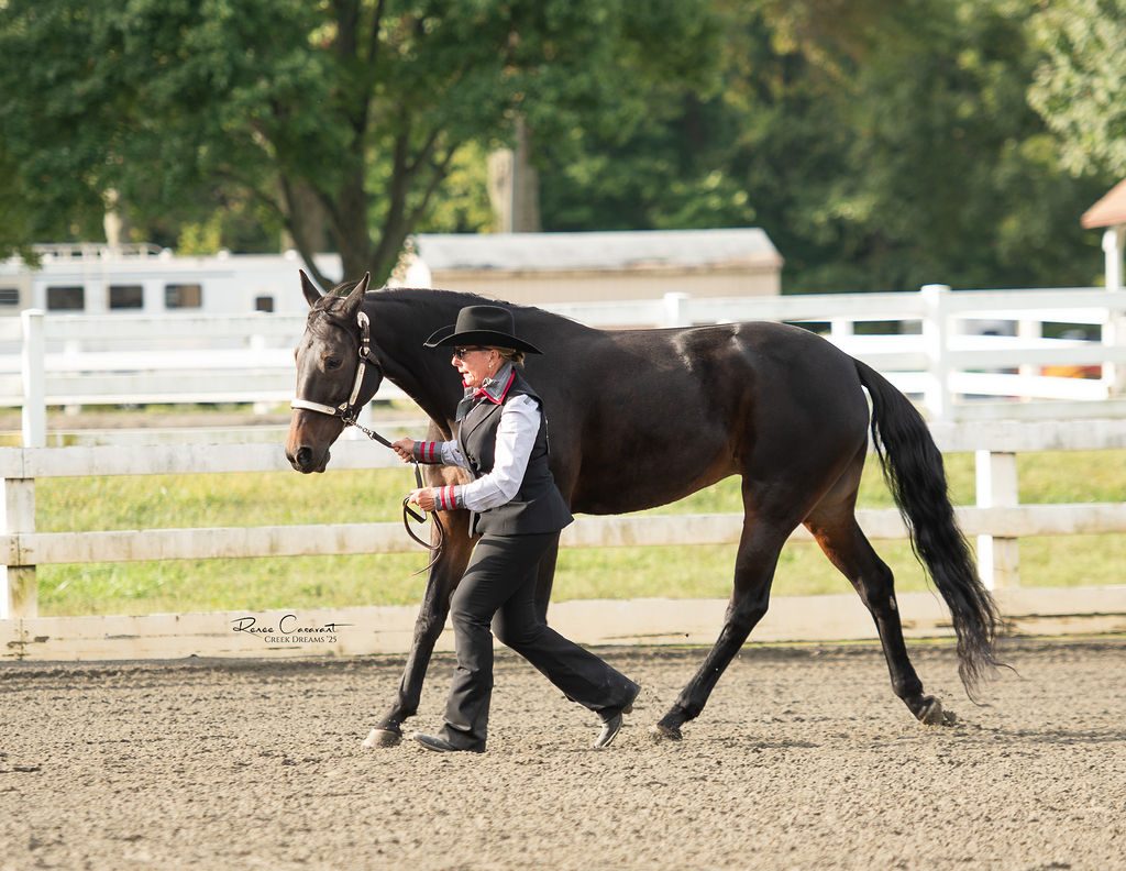 Showmanship