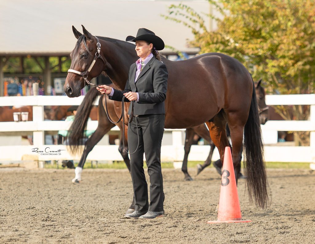 Showmanship pattern