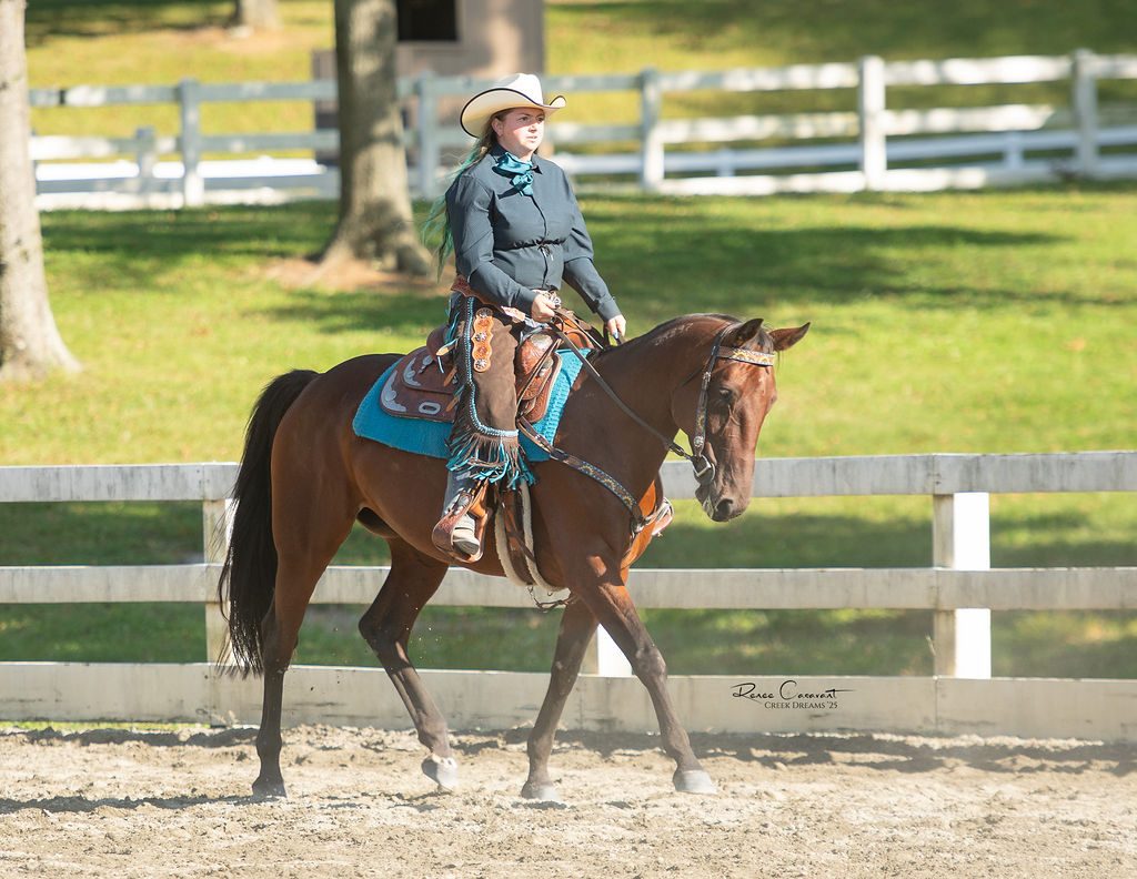 Ranch riding