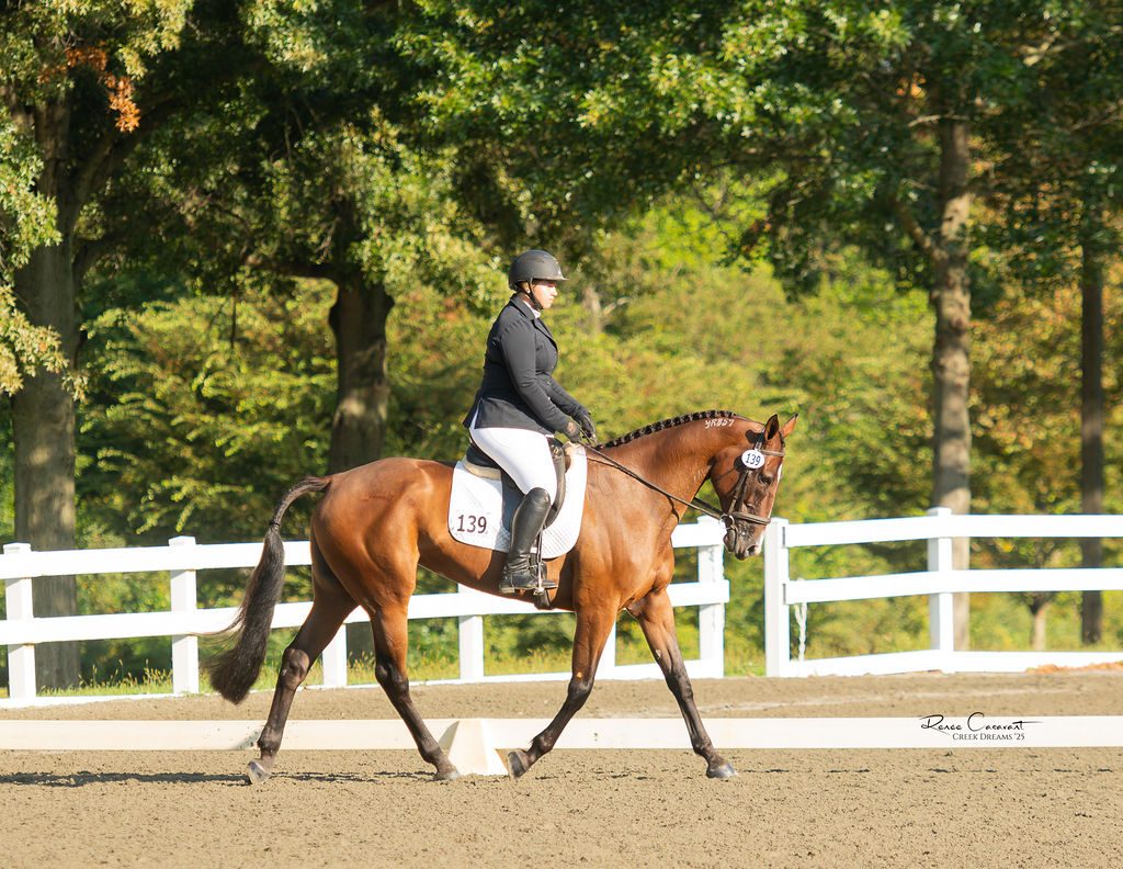 Dressage test