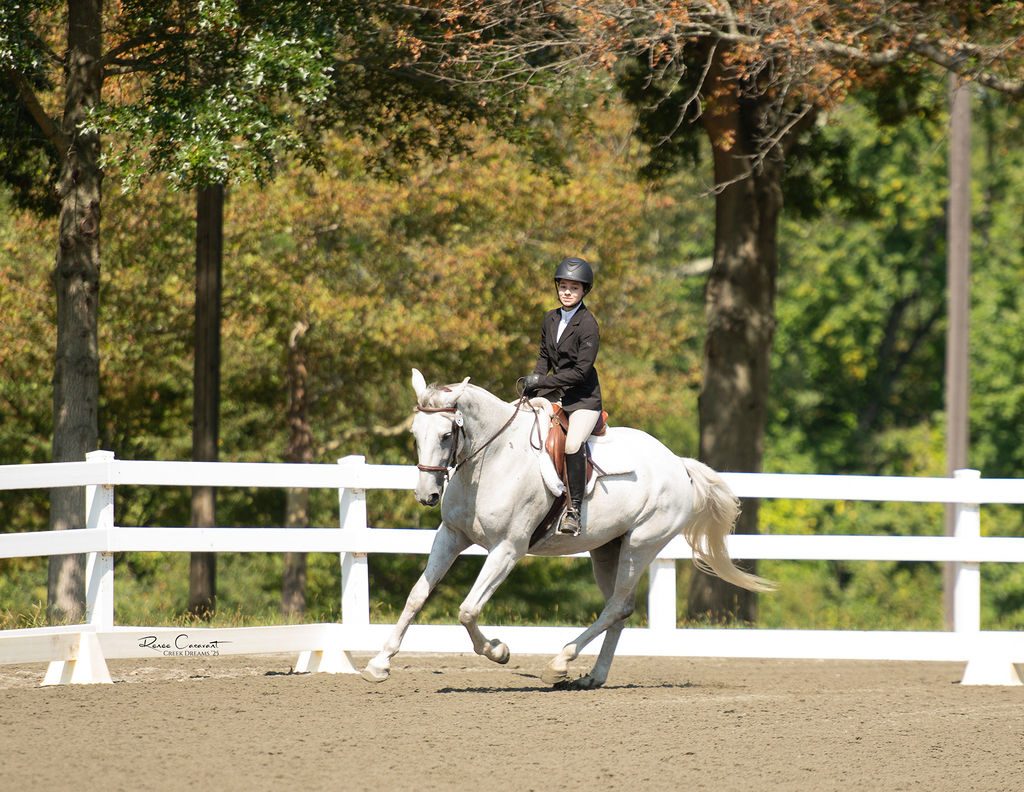 Cantering on