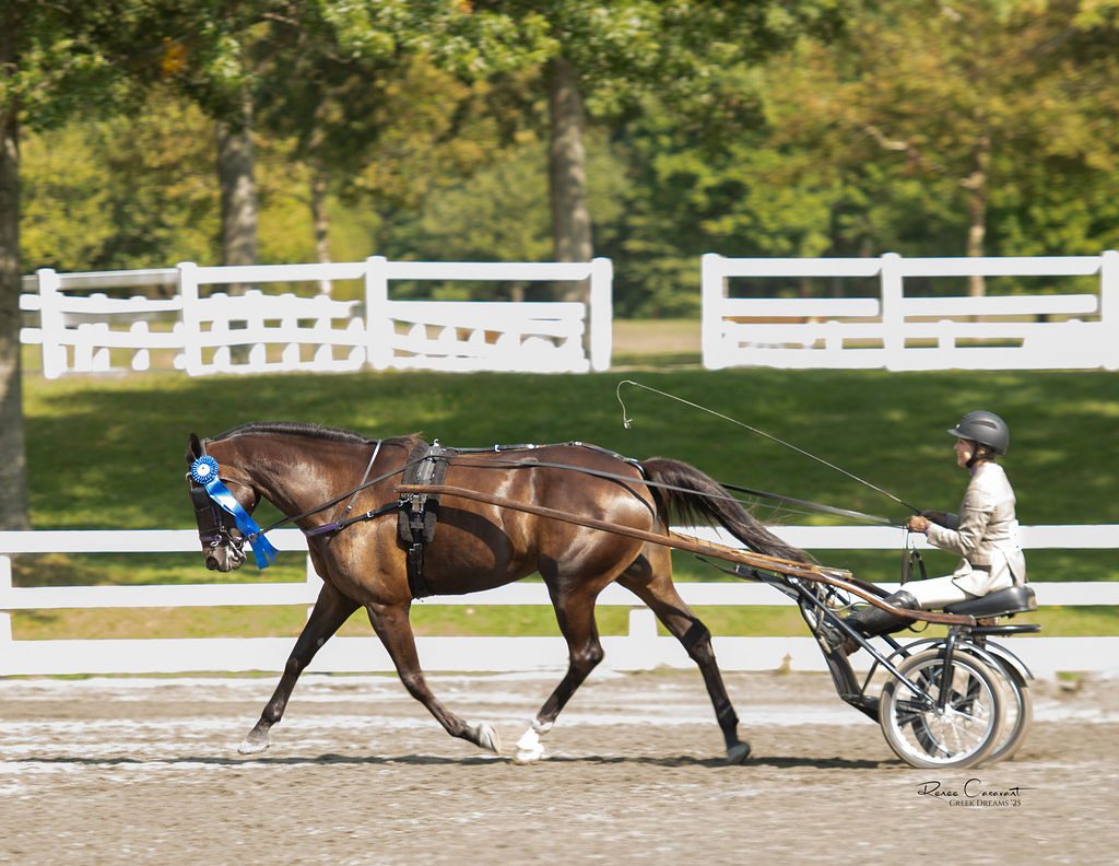 Reinsmanship
