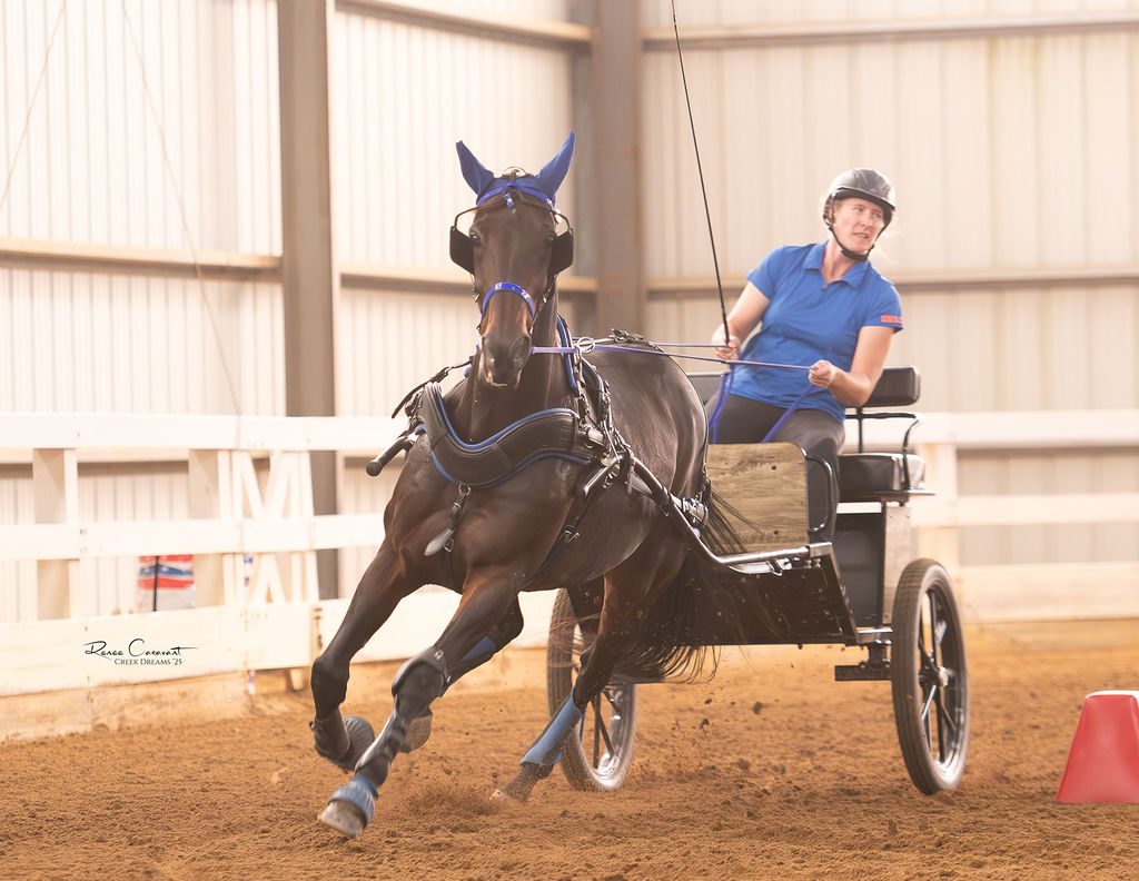 Timed obstacle driving