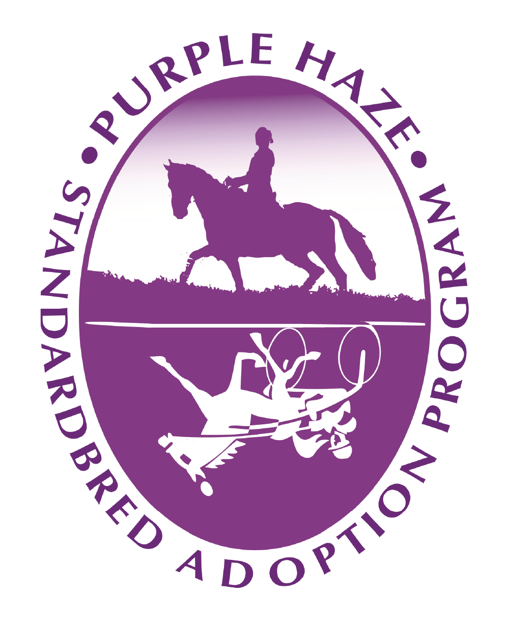 Purple Haze Standardbred Adoption Program